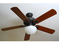 江門(mén)吊扇保養(yǎng)方法